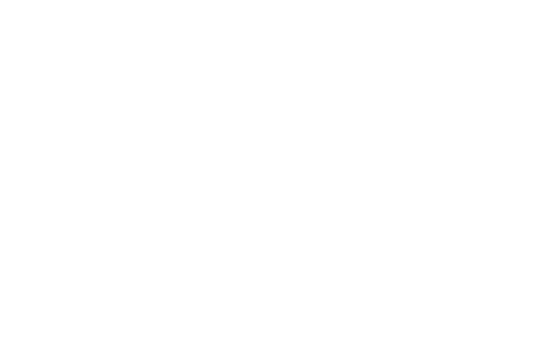 Celestity